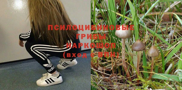 прущая мука Костерёво