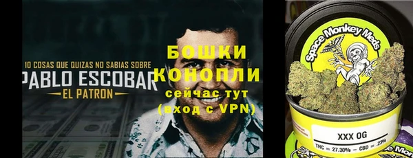 круглые Коряжма
